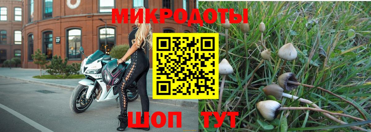 Псилоцибиновые грибы Magic Shrooms  Вход с VPN  Вольск 